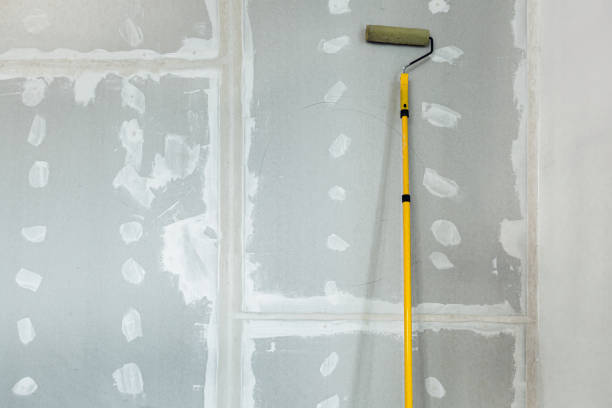 Professional Drywall & Painting Services in Winfield, IN